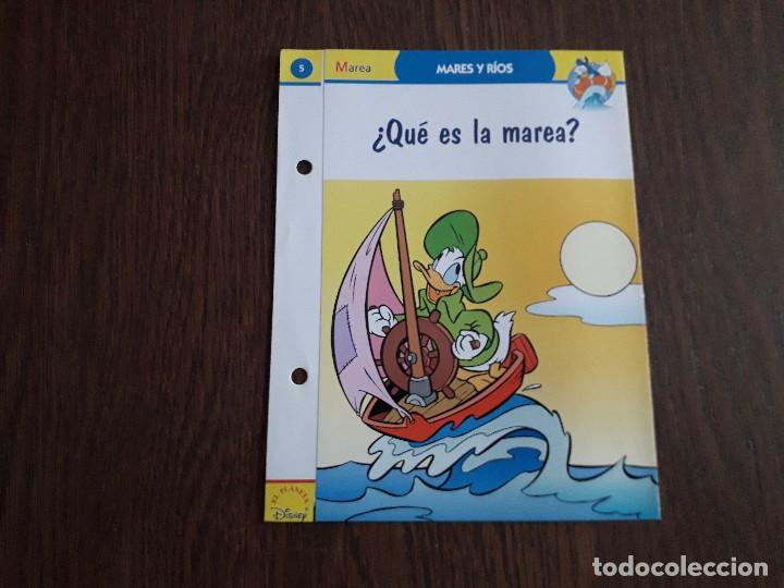 Libros de segunda mano: ficha 5, mares y r&iacute;os &iquest;Qu&eacute; es la marea? Disney, Planeta DeAgostini - Foto 1