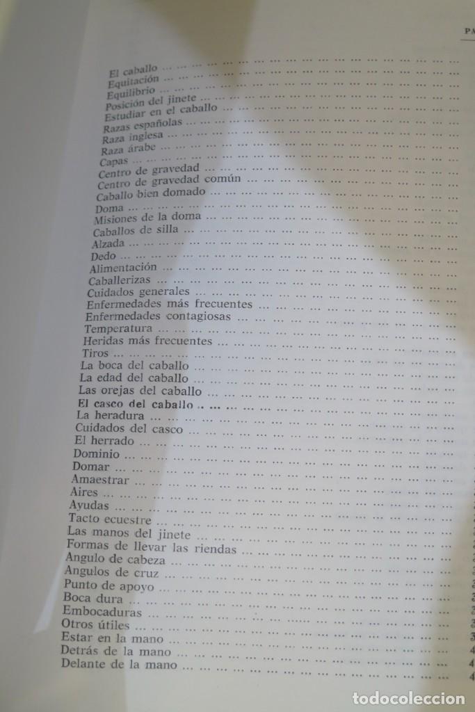 Libros de segunda mano: Manual de cuidados y doma del caballo. Jos&eacute; Mar&iacute;a D. Del Toro - Foto 2