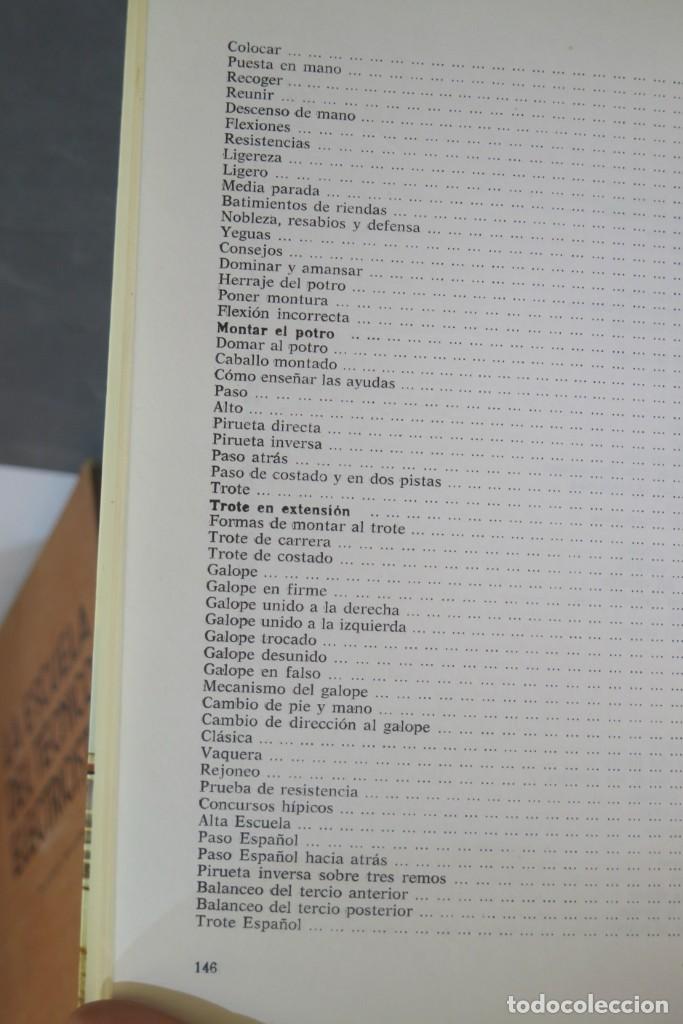 Libros de segunda mano: Manual de cuidados y doma del caballo. Jos&eacute; Mar&iacute;a D. Del Toro - Foto 3