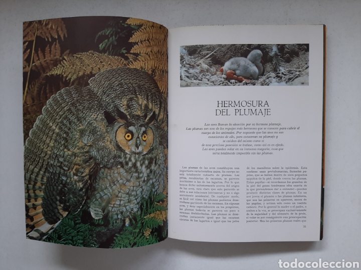 Libros de segunda mano: MARAVILLAS DE LAS AVES - MARS IVARS A&Ntilde;O 1971 - Foto 2