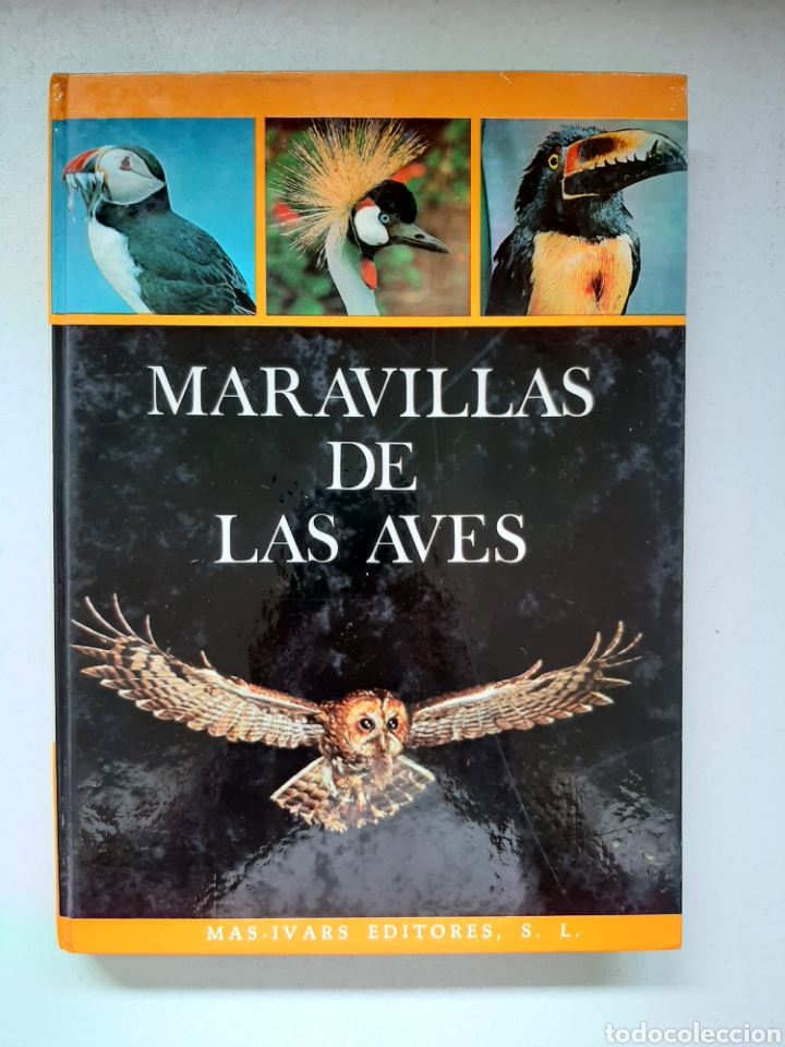 Libros de segunda mano: MARAVILLAS DE LAS AVES - MARS IVARS A&Ntilde;O 1971 - Foto 1