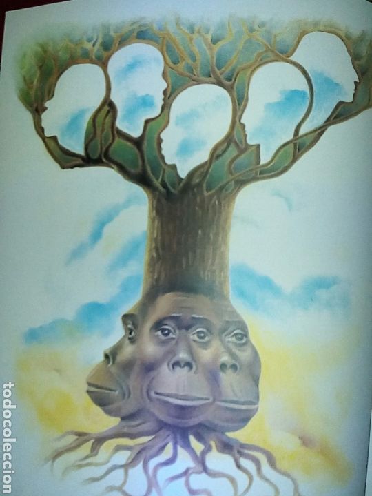 Libros de segunda mano: LAS RAZAS HUMANAS, 4 tomos - Foto 8