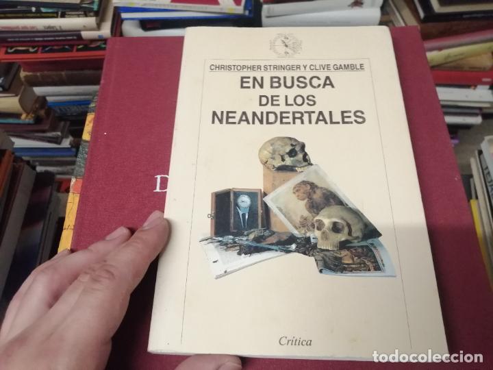 Libros de segunda mano: EN BUSCA DE LOS NEANDERTALES . LA SOLUCI&Oacute;N AL ROMPECABEZAS DE LOS OR&Iacute;GENES HUMANOS. STRINGER . - Foto 2