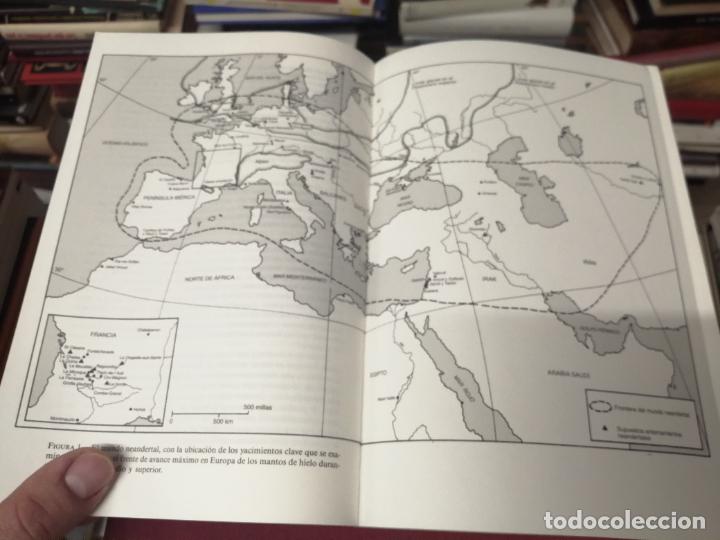 Libros de segunda mano: EN BUSCA DE LOS NEANDERTALES . LA SOLUCI&Oacute;N AL ROMPECABEZAS DE LOS OR&Iacute;GENES HUMANOS. STRINGER . - Foto 4