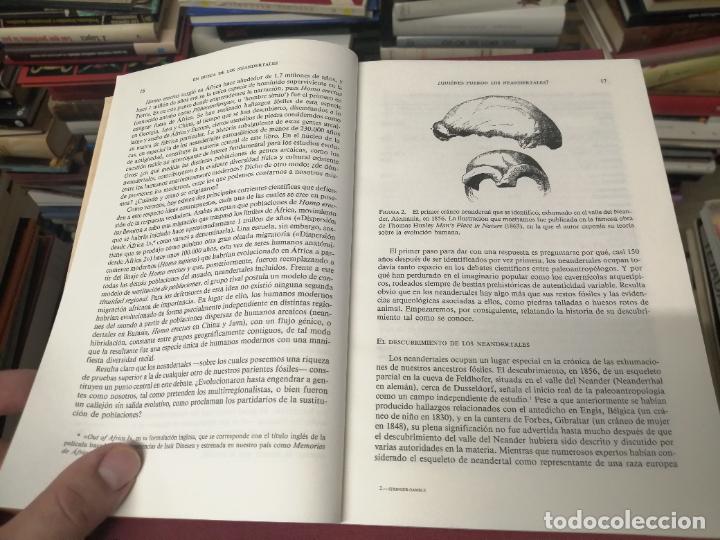 Libros de segunda mano: EN BUSCA DE LOS NEANDERTALES . LA SOLUCI&Oacute;N AL ROMPECABEZAS DE LOS OR&Iacute;GENES HUMANOS. STRINGER . - Foto 5
