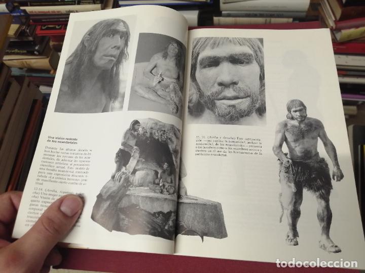 Libros de segunda mano: EN BUSCA DE LOS NEANDERTALES . LA SOLUCI&Oacute;N AL ROMPECABEZAS DE LOS OR&Iacute;GENES HUMANOS. STRINGER . - Foto 7