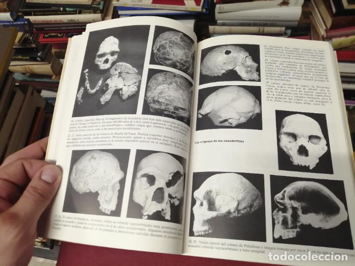 Libros de segunda mano: EN BUSCA DE LOS NEANDERTALES . LA SOLUCI&Oacute;N AL ROMPECABEZAS DE LOS OR&Iacute;GENES HUMANOS. STRINGER . - Foto 9