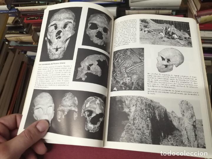 Libros de segunda mano: EN BUSCA DE LOS NEANDERTALES . LA SOLUCI&Oacute;N AL ROMPECABEZAS DE LOS OR&Iacute;GENES HUMANOS. STRINGER . - Foto 10