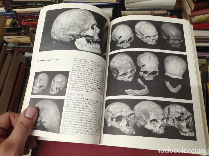 Libros de segunda mano: EN BUSCA DE LOS NEANDERTALES . LA SOLUCI&Oacute;N AL ROMPECABEZAS DE LOS OR&Iacute;GENES HUMANOS. STRINGER . - Foto 11