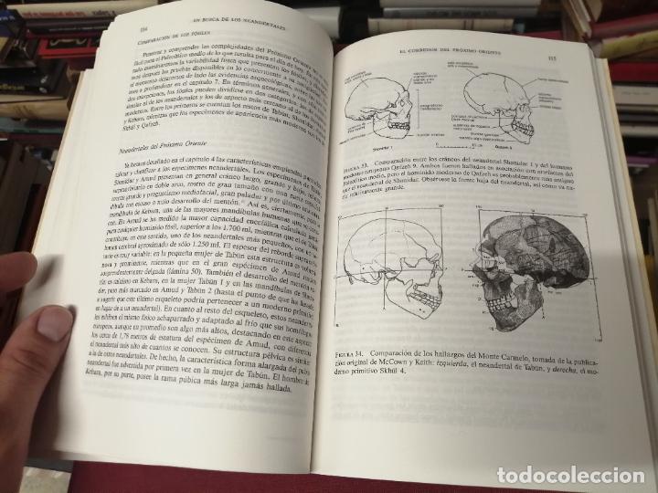 Libros de segunda mano: EN BUSCA DE LOS NEANDERTALES . LA SOLUCI&Oacute;N AL ROMPECABEZAS DE LOS OR&Iacute;GENES HUMANOS. STRINGER . - Foto 12