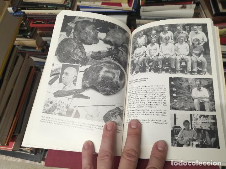 Libros de segunda mano: EN BUSCA DE LOS NEANDERTALES . LA SOLUCI&Oacute;N AL ROMPECABEZAS DE LOS OR&Iacute;GENES HUMANOS. STRINGER . - Foto 15