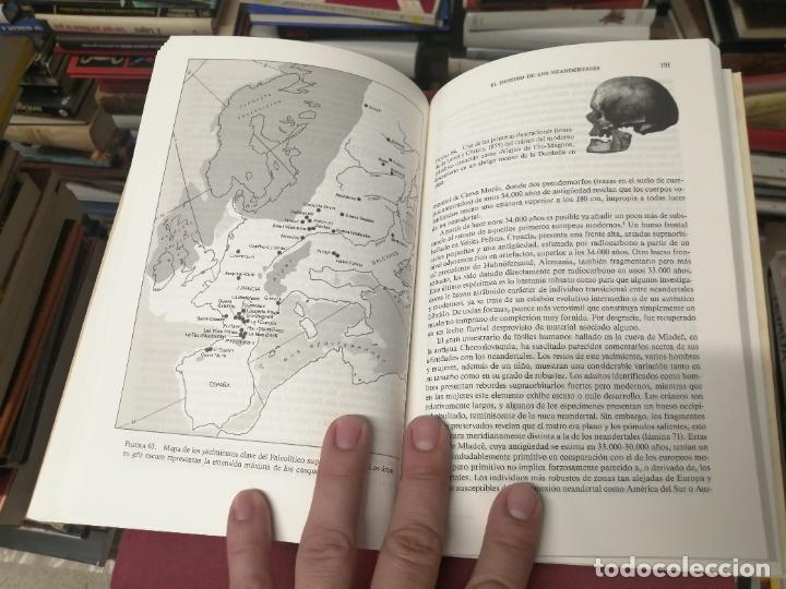 Libros de segunda mano: EN BUSCA DE LOS NEANDERTALES . LA SOLUCI&Oacute;N AL ROMPECABEZAS DE LOS OR&Iacute;GENES HUMANOS. STRINGER . - Foto 16