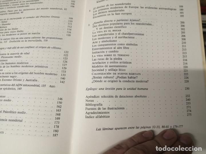 Libros de segunda mano: EN BUSCA DE LOS NEANDERTALES . LA SOLUCI&Oacute;N AL ROMPECABEZAS DE LOS OR&Iacute;GENES HUMANOS. STRINGER . - Foto 21
