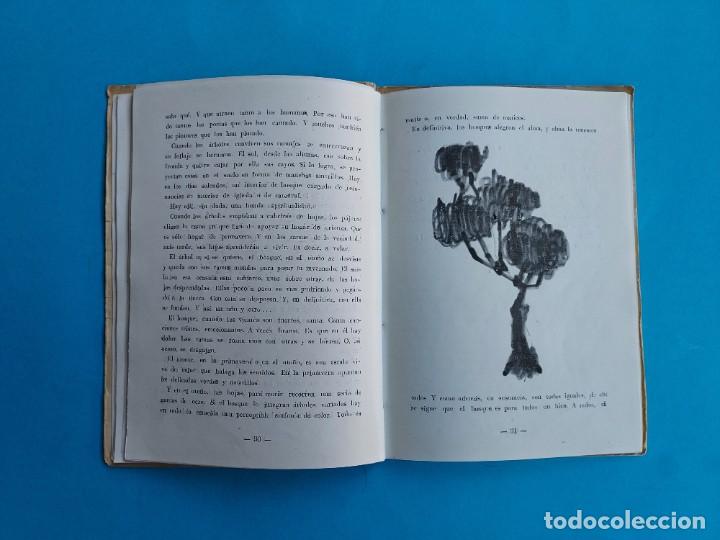 Libros de segunda mano: DE VUELTA DEL EO. ALEJANDRO SELA. DIBUJOS DE &Aacute;LVARO DELGADO. - Foto 10