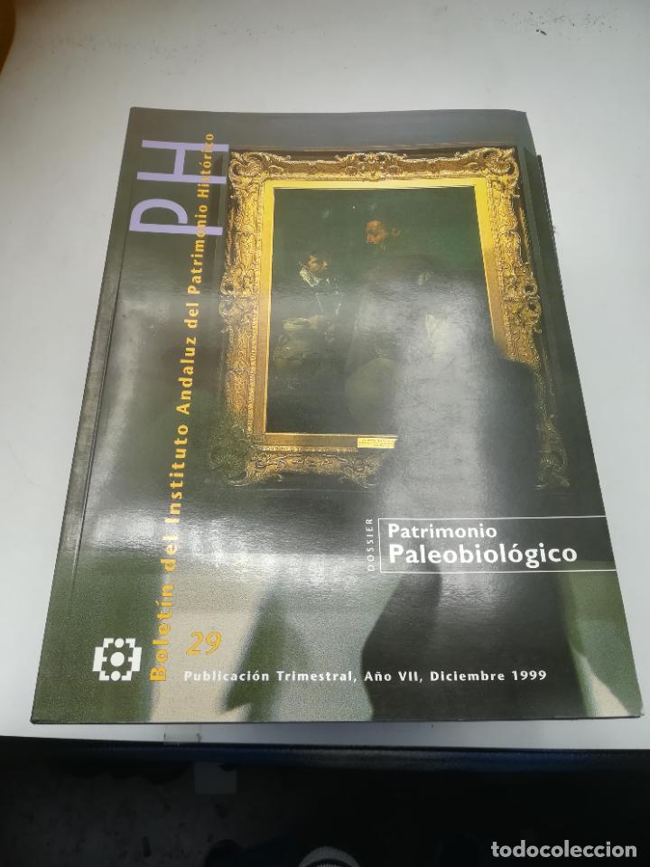 Libri di seconda mano: BOLET&Iacute;N DEL INSTITUTO ANDALUZ DEL PATRIMONIO HIST&Oacute;RICO. 29. A&Ntilde;O VII. DICIEMBRE 1999