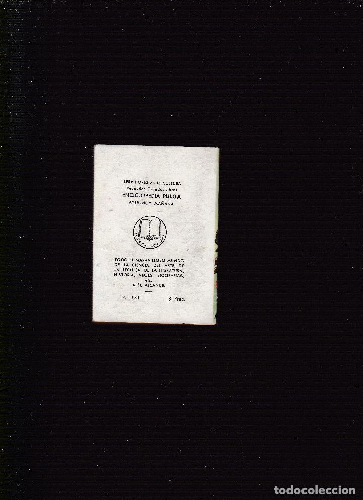 Libros de segunda mano: ENCICLOPEDIA PULGA N&ordm; 181 - LA ESTEPA - ANTON TCHEKOV - Foto 2
