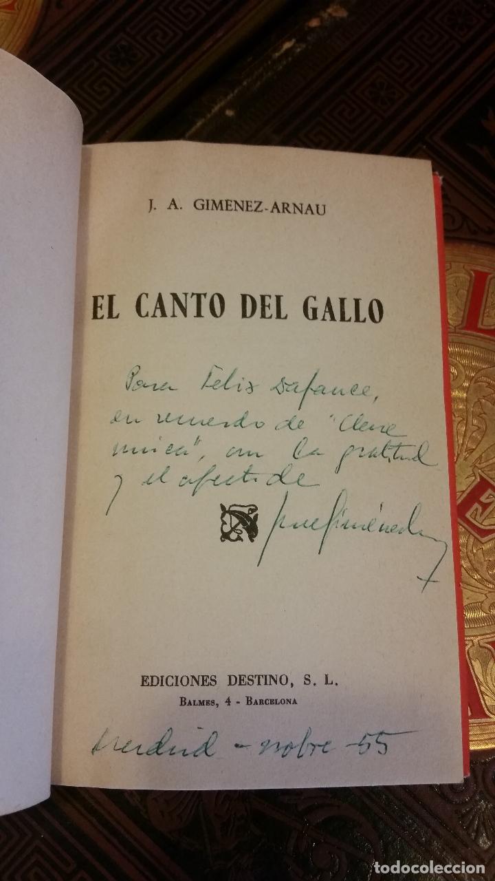 Libros de segunda mano: 1955 - J. A. GIM&Eacute;NEZ ARNAU. El canto del gallo - DEDICADO - Foto 2
