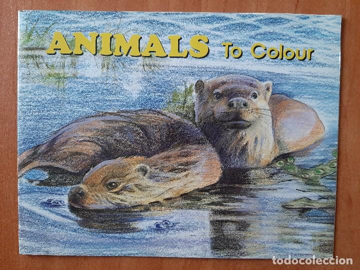 Libros de segunda mano: ANIMALS To COLOUR - L&Aacute;MINAS PARA COLOREAR - Foto 1