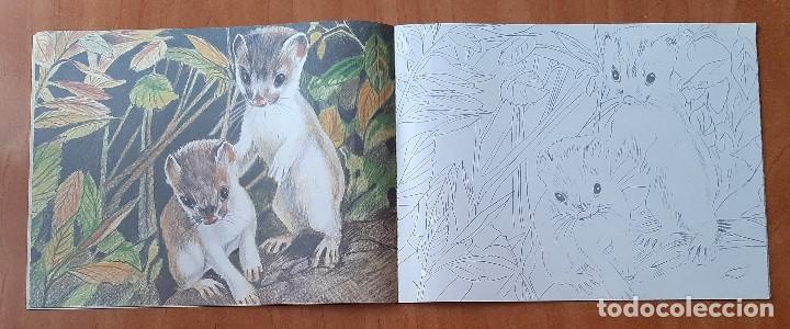Libros de segunda mano: ANIMALS To COLOUR - L&Aacute;MINAS PARA COLOREAR - Foto 2