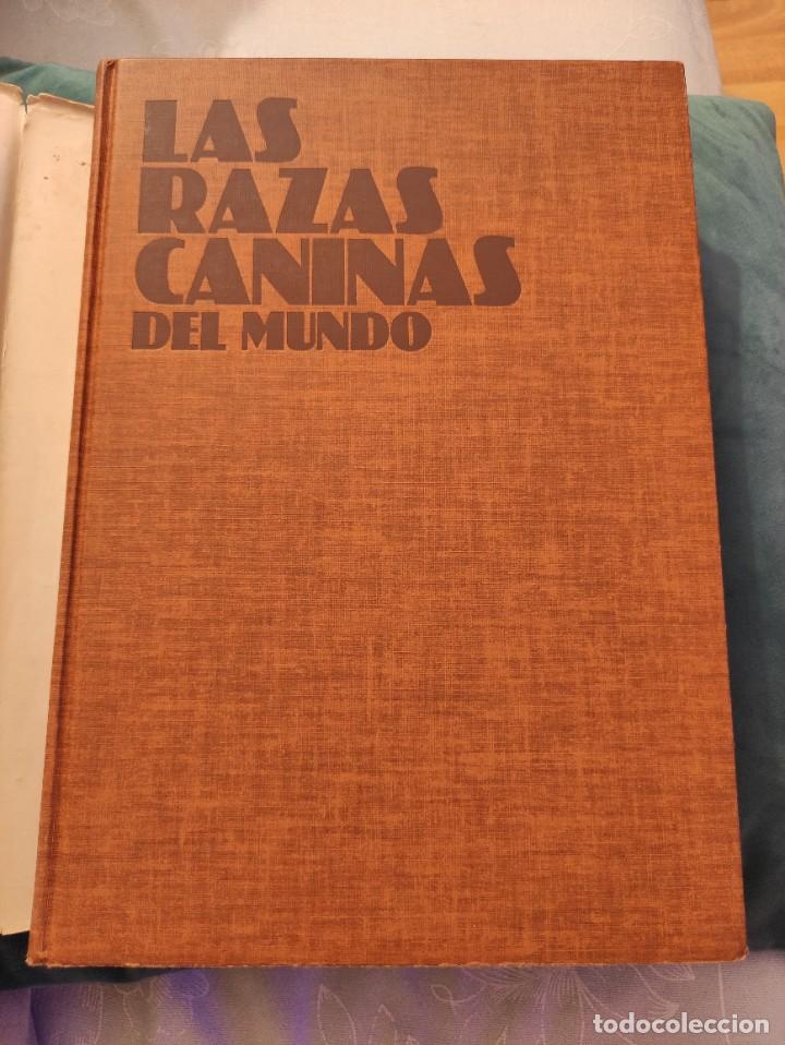 Libros de segunda mano: LAS RAZAS CANINAS DEL MUNDO - Foto 11