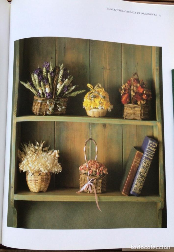 Libros de segunda mano: Fleures s&eacute;ch&eacute;es. Am&eacute;lia Saint George. Dessain el Tolra. 1993. En Franc&eacute;s. - Foto 8