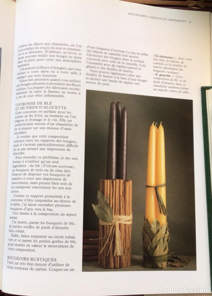 Libros de segunda mano: Fleures s&eacute;ch&eacute;es. Am&eacute;lia Saint George. Dessain el Tolra. 1993. En Franc&eacute;s. - Foto 12