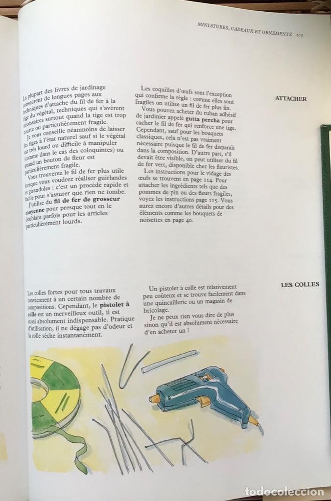 Libros de segunda mano: Fleures s&eacute;ch&eacute;es. Am&eacute;lia Saint George. Dessain el Tolra. 1993. En Franc&eacute;s. - Foto 14