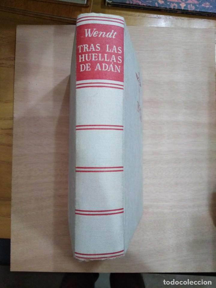 Libros de segunda mano: Tras las huellas de Ad&aacute;n - Herbert Wendt - Foto 1