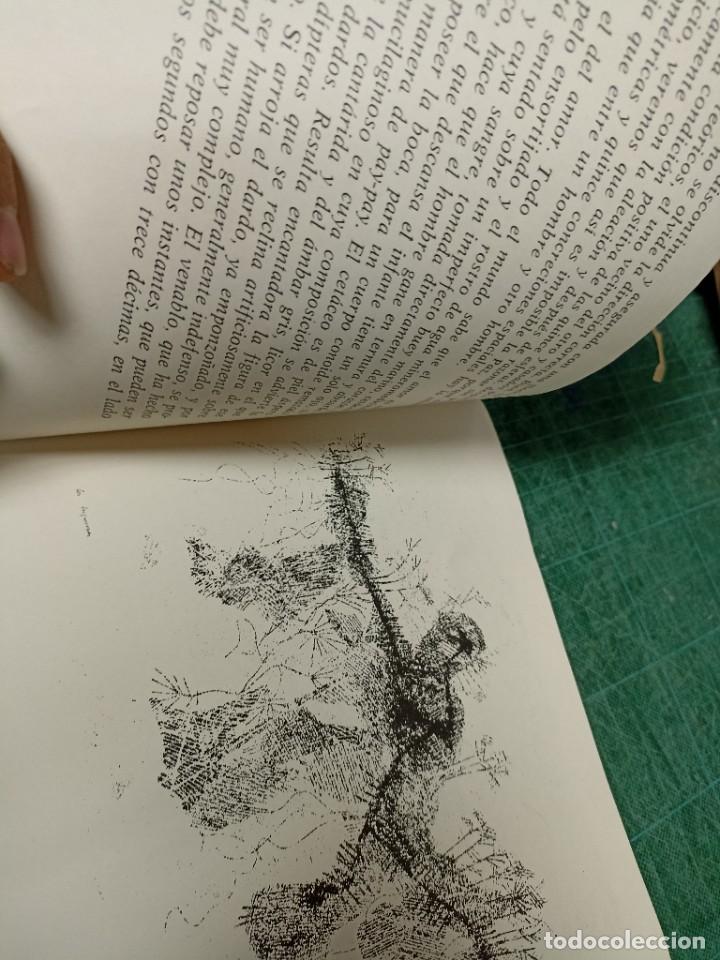 Libros de segunda mano: Autosaurio de Francisco Izquierdo. Texto Bernardino M. Hernando - Foto 2