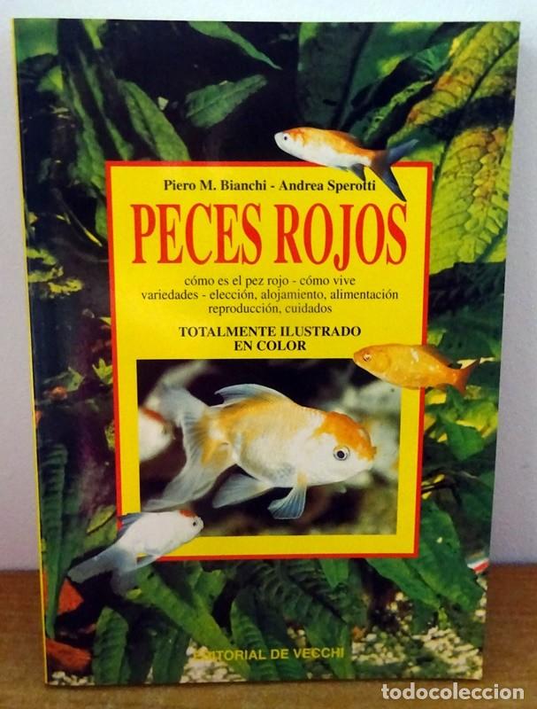 Libros de segunda mano: PECES ROJOS PIERO M. BIANCHI - Foto 1