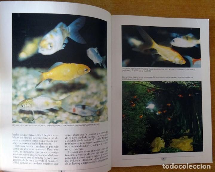 Libros de segunda mano: PECES ROJOS PIERO M. BIANCHI - Foto 5