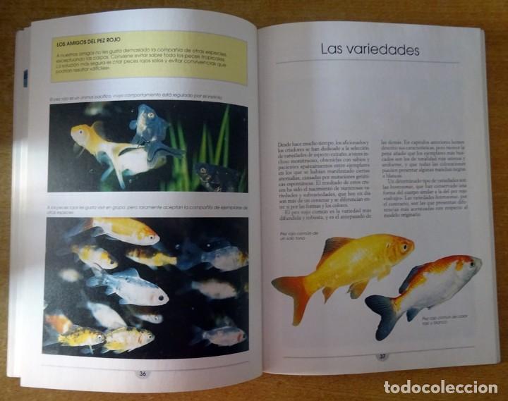 Libros de segunda mano: PECES ROJOS PIERO M. BIANCHI - Foto 7