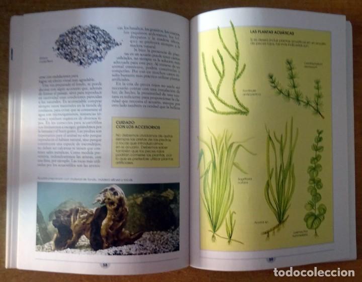 Libros de segunda mano: PECES ROJOS PIERO M. BIANCHI - Foto 8