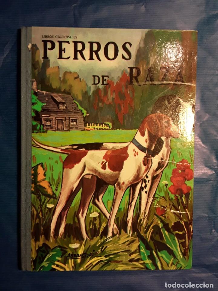 Libros de segunda mano: LIBROS CULTURALES - PERROS DE RAZA - LIBRO -env&iacute;o certif TC 5,99 - Foto 2