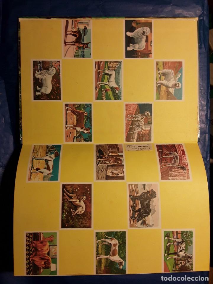 Libros de segunda mano: LIBROS CULTURALES - PERROS DE RAZA - LIBRO -env&iacute;o certif TC 5,99 - Foto 3