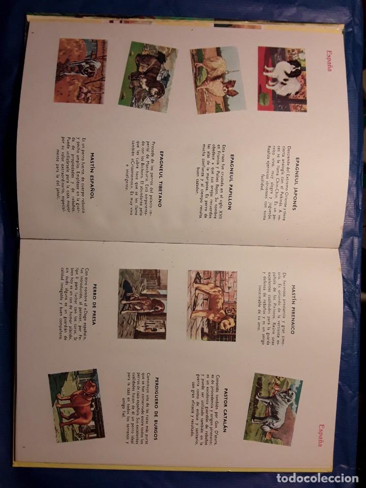 Libros de segunda mano: LIBROS CULTURALES - PERROS DE RAZA - LIBRO -env&iacute;o certif TC 5,99 - Foto 4