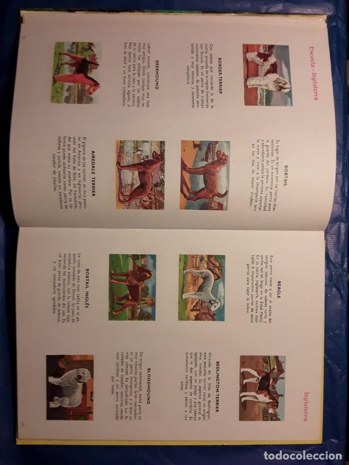 Libros de segunda mano: LIBROS CULTURALES - PERROS DE RAZA - LIBRO -env&iacute;o certif TC 5,99 - Foto 5