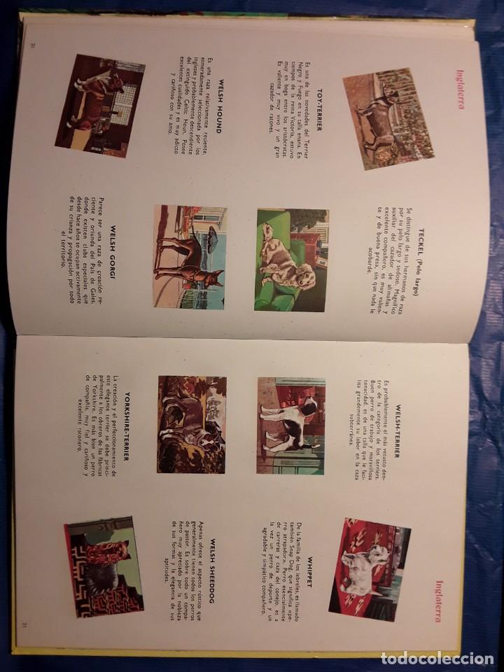 Libros de segunda mano: LIBROS CULTURALES - PERROS DE RAZA - LIBRO -env&iacute;o certif TC 5,99 - Foto 6