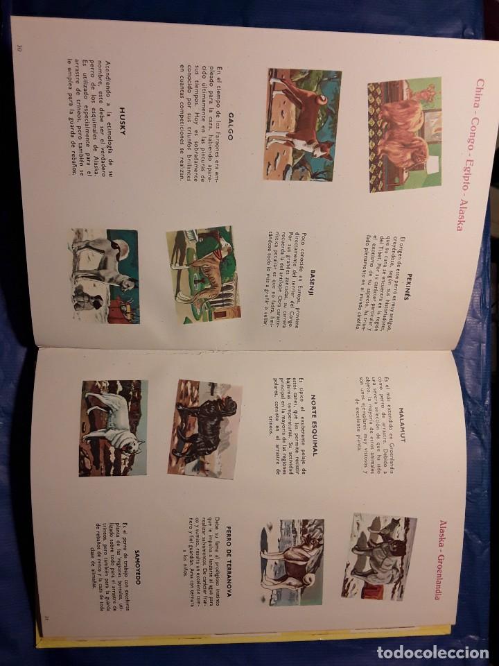 Libros de segunda mano: LIBROS CULTURALES - PERROS DE RAZA - LIBRO -env&iacute;o certif TC 5,99 - Foto 7