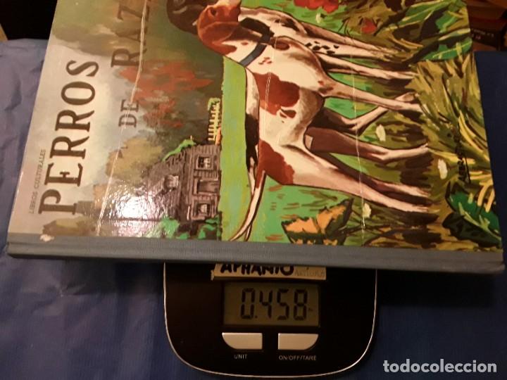 Libros de segunda mano: LIBROS CULTURALES - PERROS DE RAZA - LIBRO -env&iacute;o certif TC 5,99 - Foto 8