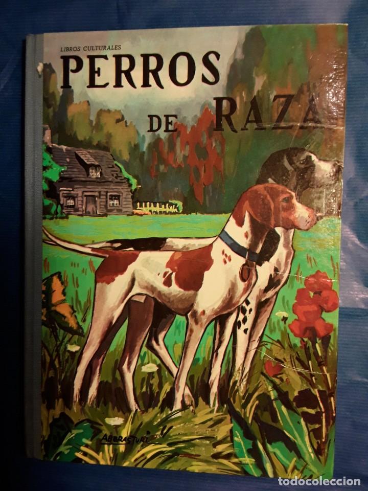 Libros de segunda mano: LIBROS CULTURALES - PERROS DE RAZA - LIBRO -env&iacute;o certif TC 5,99 - Foto 1