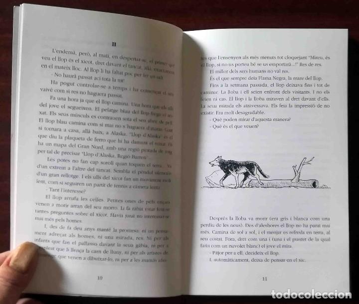 Libros de segunda mano: Lull del llop (Daniel Pennac) Tandem Edicions 1993 - Foto 3