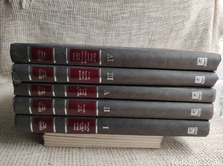 Libros de segunda mano: ESPA&Ntilde;A A VISTA DE PAJARO - COLECCION COMPLETA EN 5 TOMOS - Foto 4