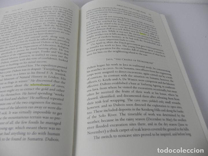 Libros de segunda mano: JAVA MAN (CARL C. SWISHER III, GARNIS H. CURTIS, ROGER LEWIN) (2000) - Foto 4