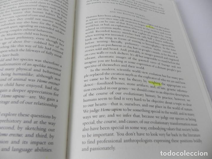 Libros de segunda mano: JAVA MAN (CARL C. SWISHER III, GARNIS H. CURTIS, ROGER LEWIN) (2000) - Foto 6