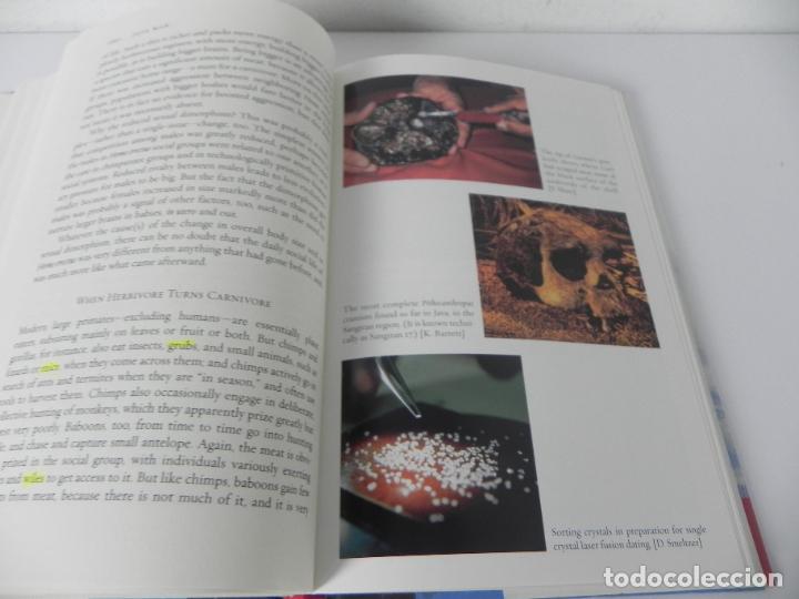 Libros de segunda mano: JAVA MAN (CARL C. SWISHER III, GARNIS H. CURTIS, ROGER LEWIN) (2000) - Foto 7