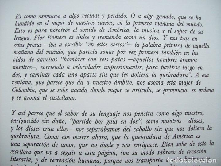 Libros de segunda mano: LOS TIEMPOS DEL DESLUMBRAMIENTO. FLOR ROMERO - Foto 5