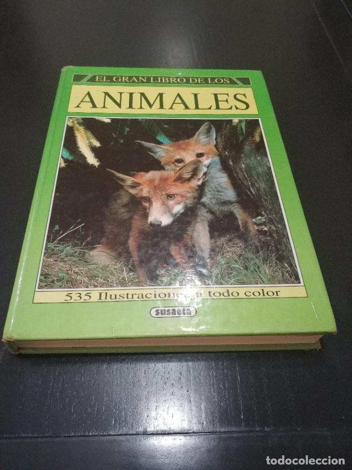 Libros de segunda mano: EL GRAN LIBRO DE LOS ANIMALES. SUSAETA - Foto 1