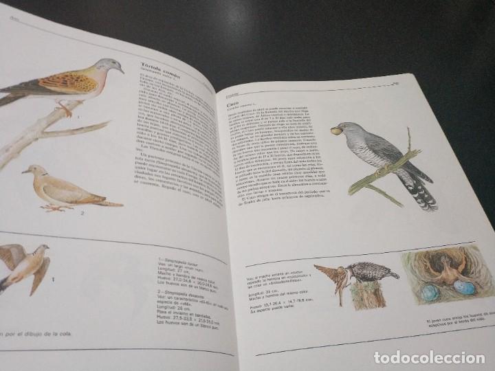 Libros de segunda mano: EL GRAN LIBRO DE LOS ANIMALES. SUSAETA - Foto 4