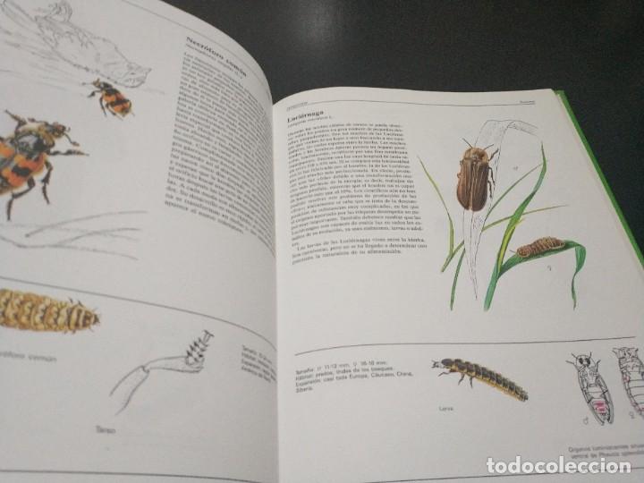 Libros de segunda mano: EL GRAN LIBRO DE LOS ANIMALES. SUSAETA - Foto 5